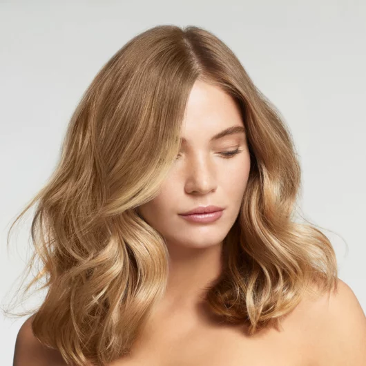 Re Start Density Model