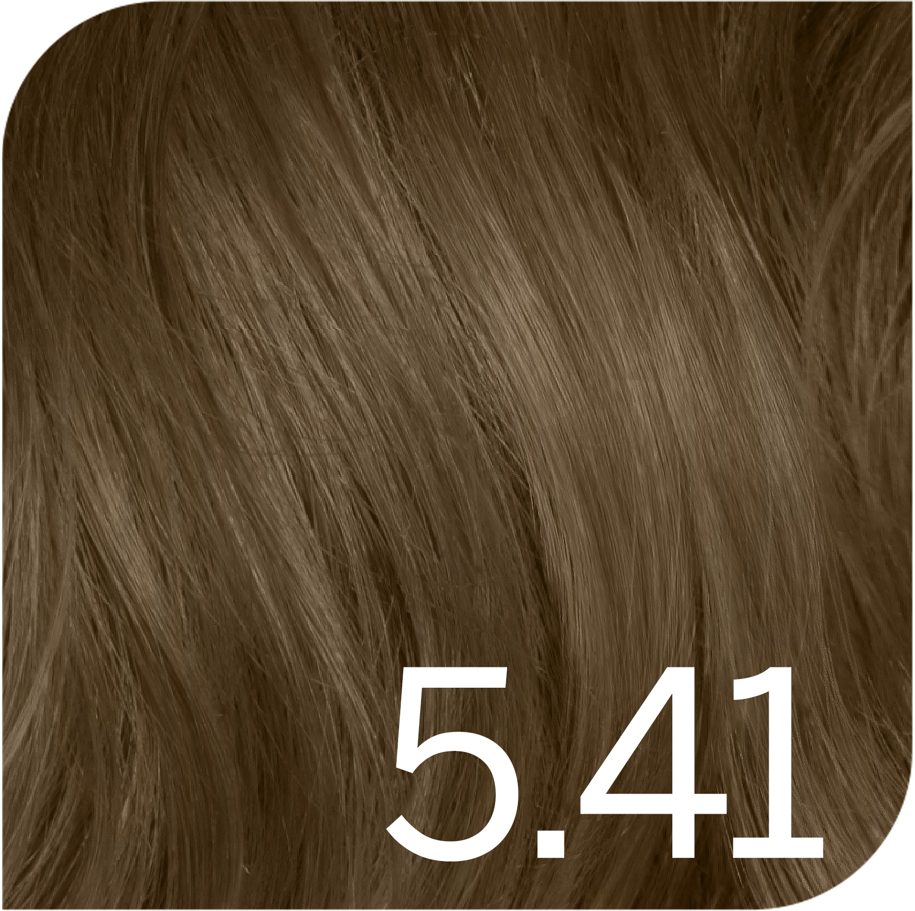 Light Chestnut Ash Brown