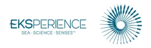 Eksperience Logo